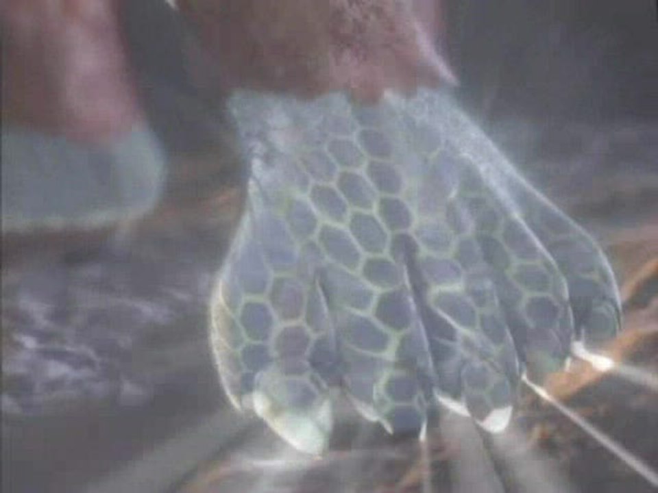 Phantasy Star Universe : Aptitudes aux combats