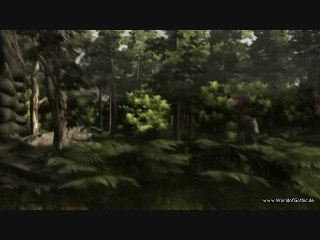 Gothic 3 : Environnement forestier