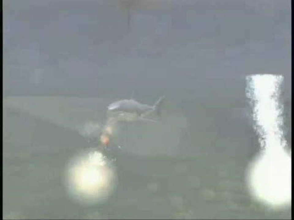 Les Dents de la Mer : Les dents de la mer, c'est vous