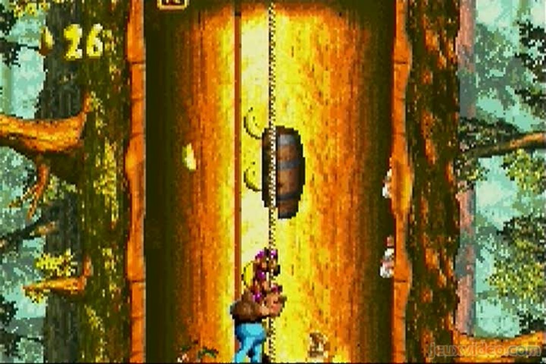 Donkey Kong Country 3 : Des arbres habités