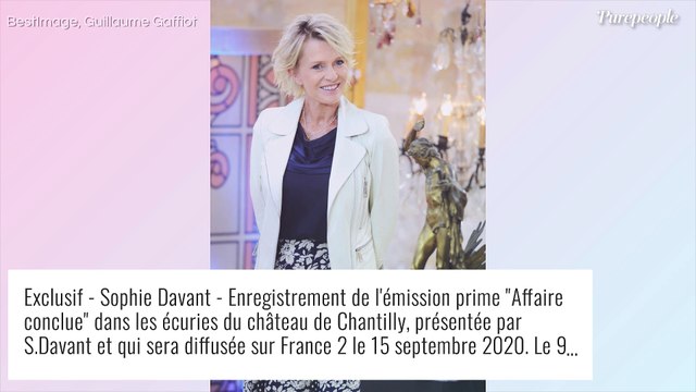 Sophie Davant et Erik Orsenna : Quand elle était troublée par ses déclarations d'amour enflammées...
