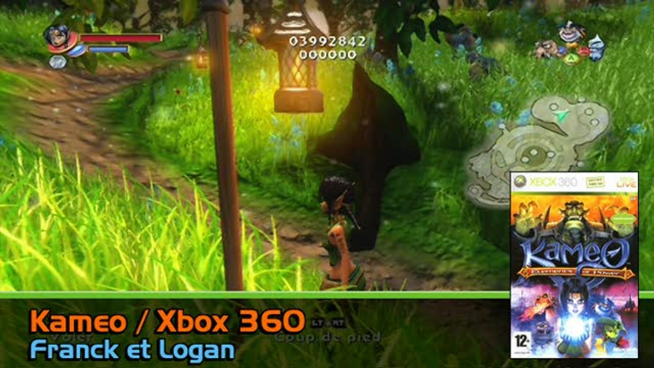 Kameo : Elements of Power : Univers enchanté