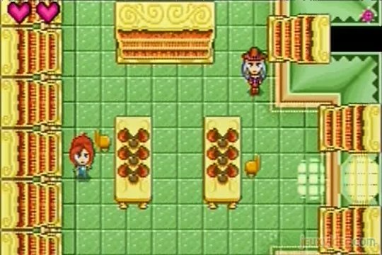 Winx Club : Visite des locaux