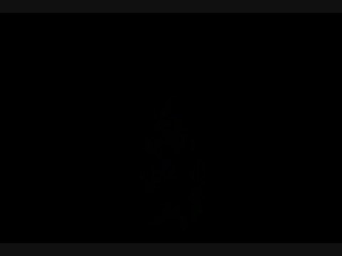 Le Seigneur des Anneaux : La Bataille pour la Terre du Milieu II : Modélisation des personnages