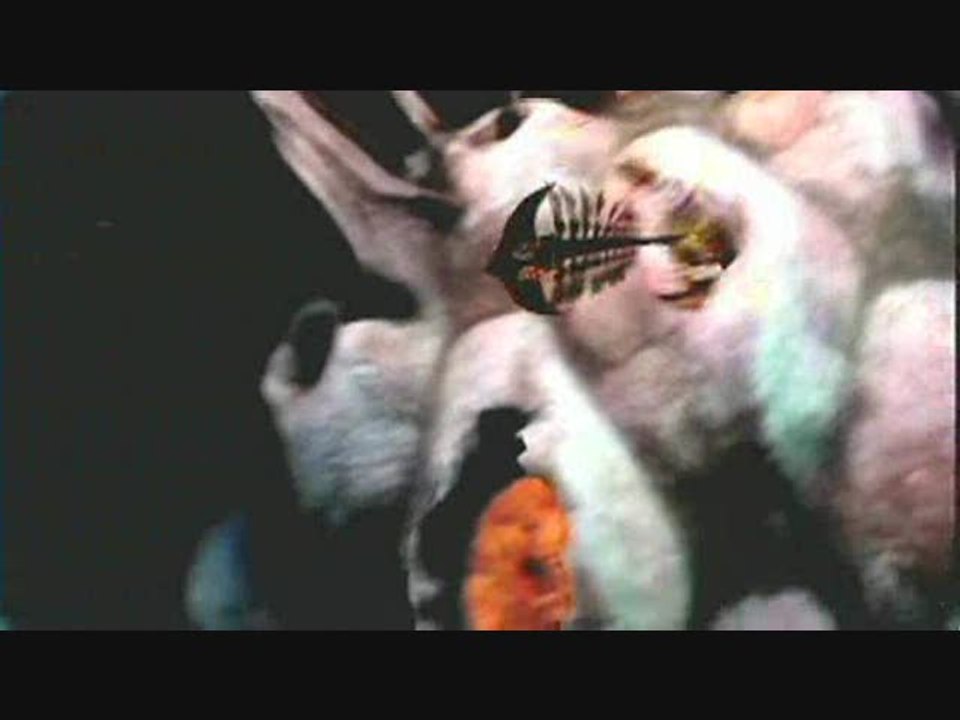 Lost Planet : Extreme Condition : Ennemis volants