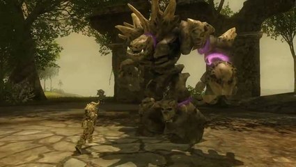 Darkfall : Une armure en os et un golem peu commode