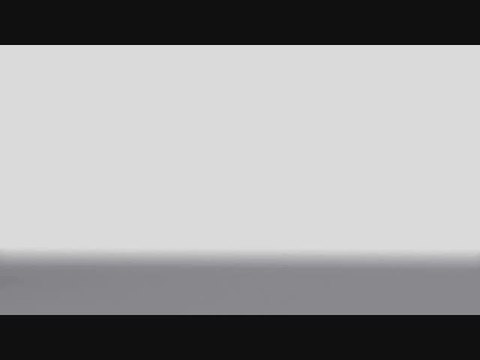 Rayman contre les Lapins Crétins : Laaaaaaaaapin !