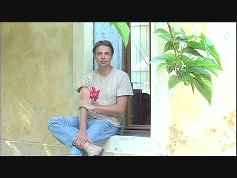 Rayman contre les Lapins Crétins : Interview classique