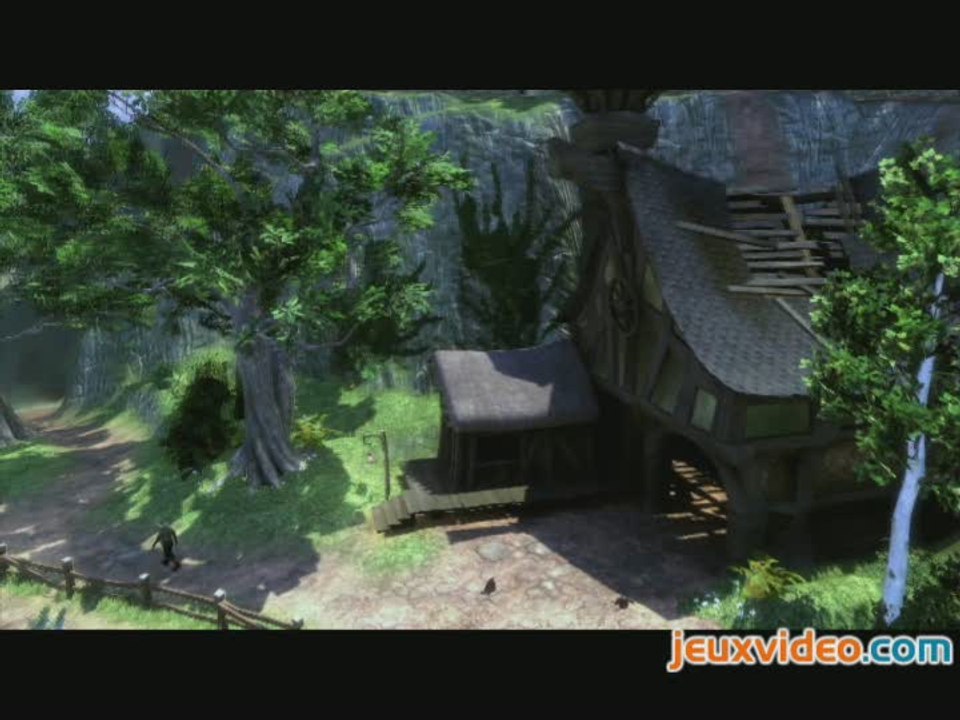 Fable II : Gameplay