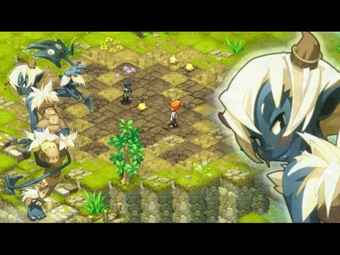 Wakfu : Jeu VS Série