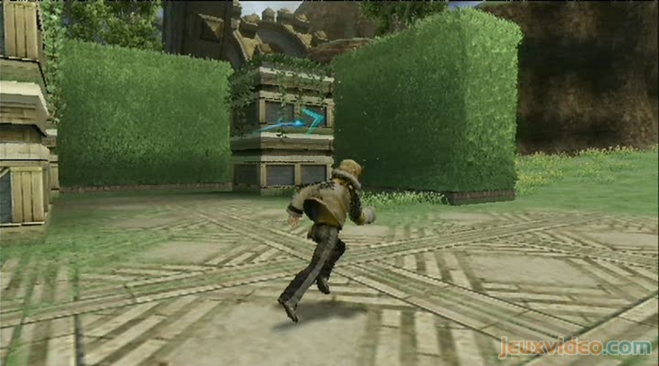 Final Fantasy Crystal Chronicles : The Crystal...