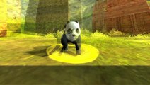 Aion : Bonus de précommande - familiers : Panda et Chat Noir