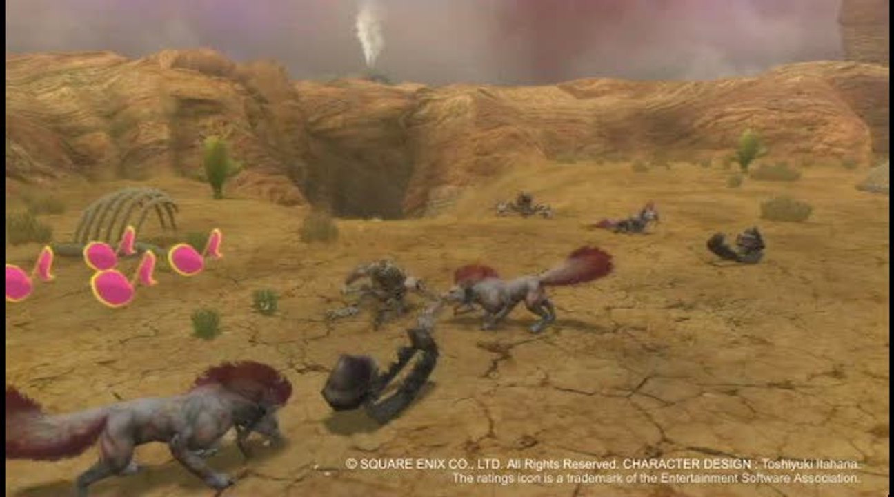 Final Fantasy Crystal Chronicles : The Crystal Bearers : Tas d'os