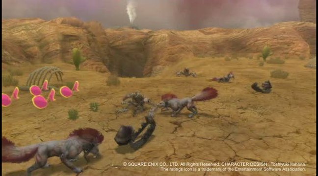 Final Fantasy Crystal Chronicles : The Crystal Bearers : Tas d'os