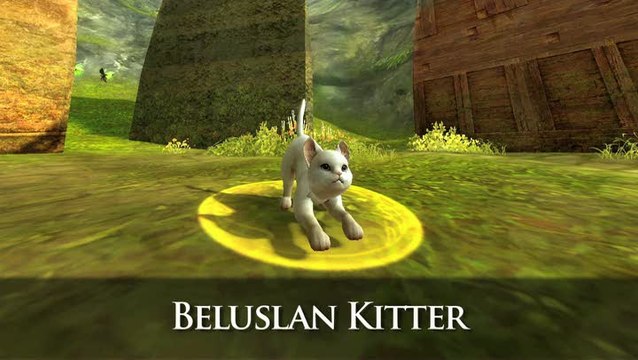 Aion : Bonus de précommande - familiers : Panda et Chat Blanc