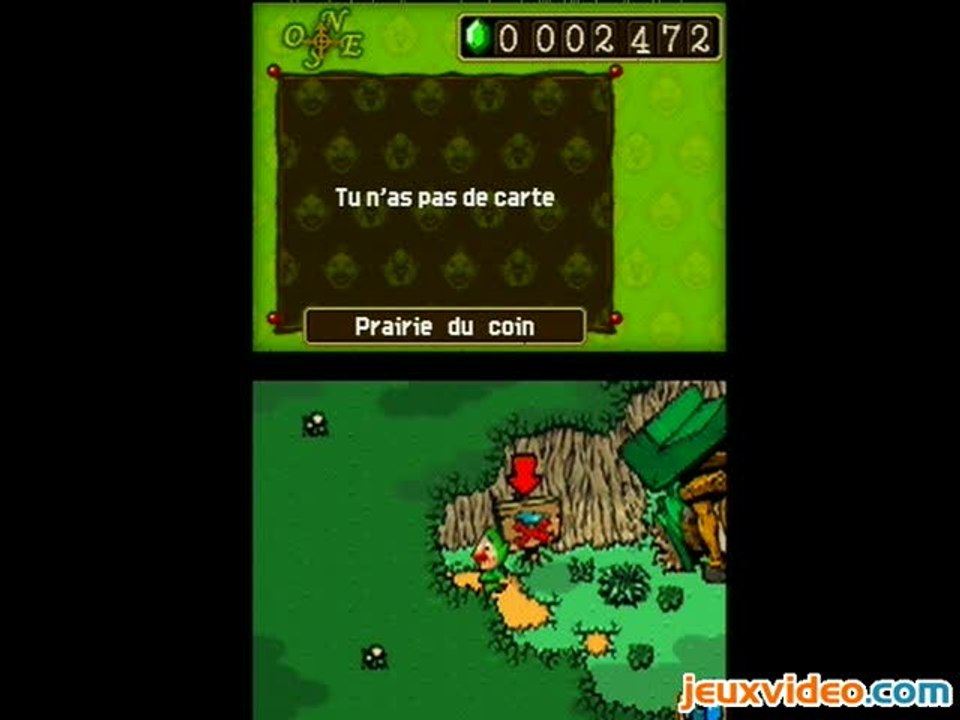 Freshly-Picked : Tingle's Rosy Rupeeland : Garde du corps