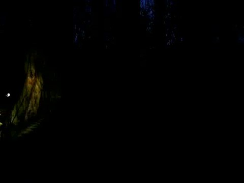 Barrow Hill : Le Cercle Maudit : Tout au doigté