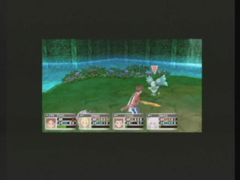 Tales of the World : Radiant Mythology : Combats