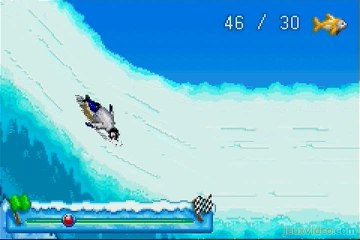 Happy Feet : Session de glisse