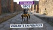 [CH] Spot y los drones ya patrullan en Pompeya