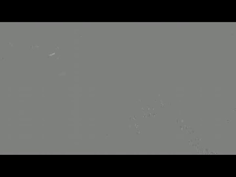 Pimp my Ride : La petite carte de visite