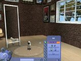 Les Sims 2 : Animaux & Cie : Bêtes à poils