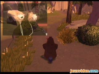 Les Rebelles de la Forêt :