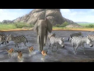 Afrika : TGS 07 : Trailer