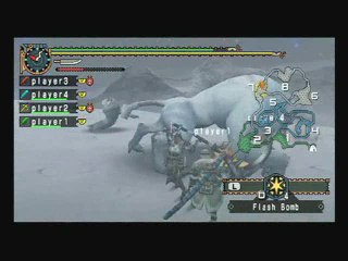 Monster Hunter Freedom 2 : Belles proies