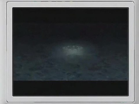 Final Fantasy XII : Revenant Wings : Fleurs magiques