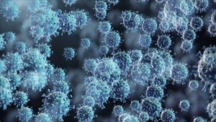 BA.2 Omicron Subvariant Is Now the Dominant COVID Strain in the US