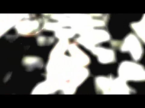 Resident Evil : The Umbrella Chronicles : Premier trailer