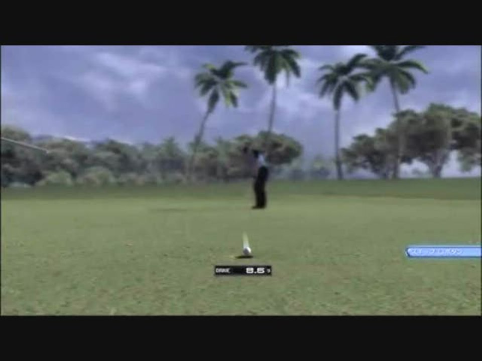 Sega Golf Club : Famille Miyazato