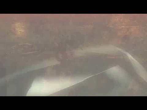 Clive Barker's Jericho : Wilhelmina Church