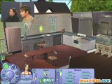 Les Sims : Histoires de Vie :