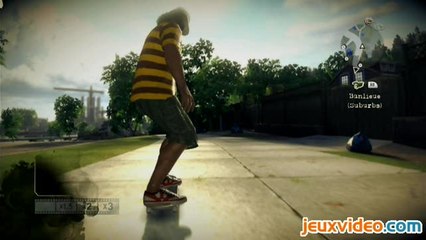 Skate : Présentation