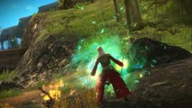 Guild Wars 2 : L'élémentaliste : Phénix