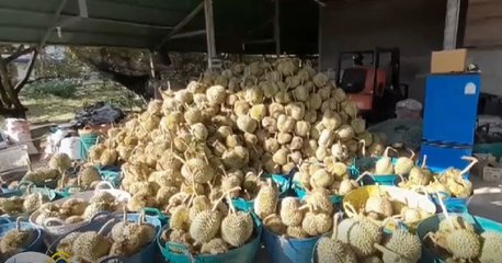 9 ข่าวเช้า ช่วงที่ 1 วันพุธที่ 30 มีนาคม 2565