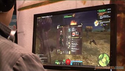 Guild Wars 2 : PGW 2010