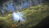 Guild Wars 2 : Défendre la veuve et l'orphelin