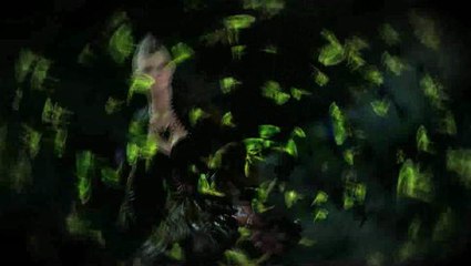 Guild Wars 2 : Essaim de locustes