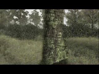 Call of Duty 4 : Modern Warfare : Sniper