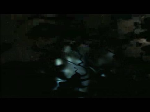 Condemned 2 : Bloodshot : Survol du jeu