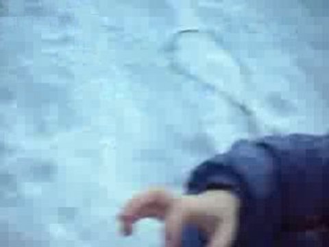 SKI à BERNEX Février 2007 069