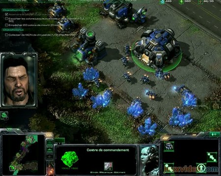 Starcraft II : Wings of Liberty : Protection