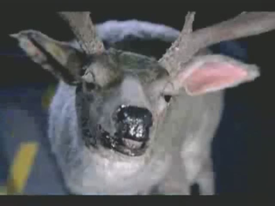 Mon Coach Personnel : J'Enrichis mon Vocabulaire : Polyglotte