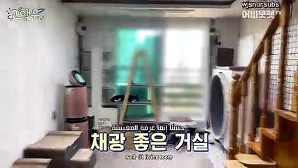 Cat Planet Journey EP.2 Arabic sub