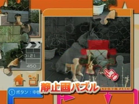 Jigsaw Puzzle : Nos amis les chiens