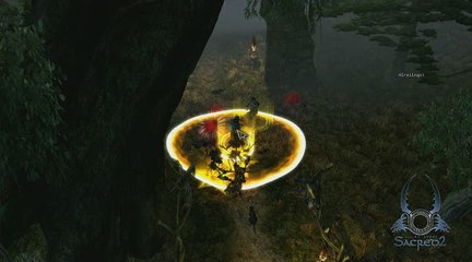 Sacred 2 : Fallen Angel : Guerrier de l'Ombre