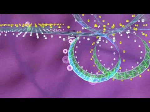 Geon : Emotions : Un trailer qui donne le tournis